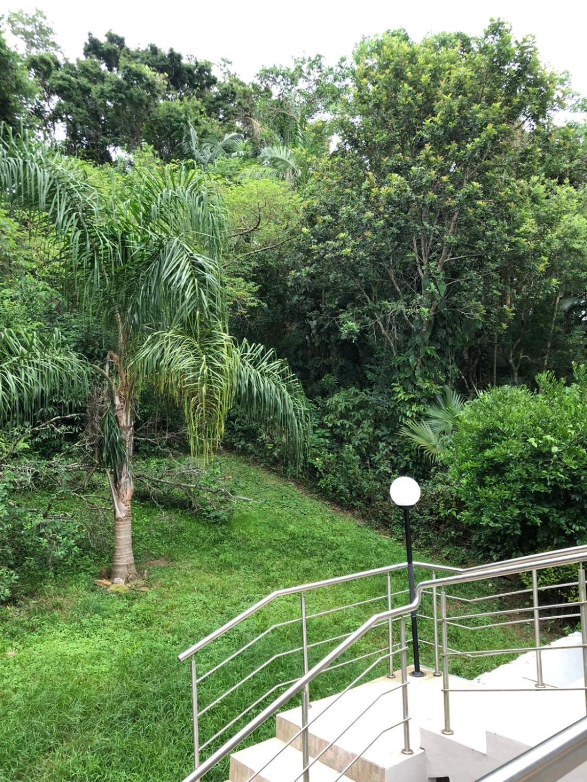 Casa Figueira Na Pedra Hotel Florianópolis Eksteriør billede
