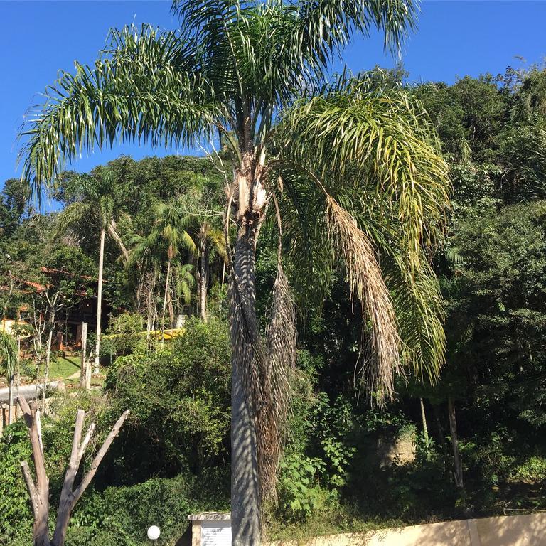 Casa Figueira Na Pedra Hotel Florianópolis Eksteriør billede